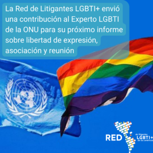 La Red de Litigantes LGBTI+ envió una contribución al Experto LGBTI de la ONU para su próximo informe sobre libertad de expresión, asociación y reunión