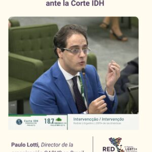 Nuestra intervención ante la Corte IDH: democracia y protección de derechos LGBTI+